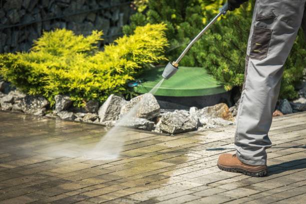 Best Roof Washing  in Westview, FL